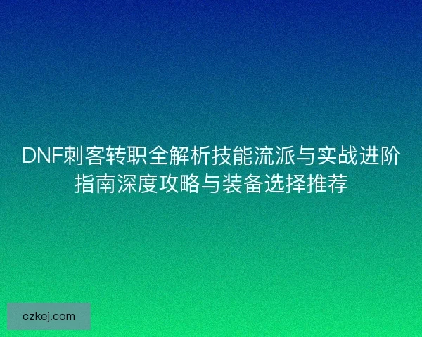 DNF刺客转职全解析技能流派与实战进阶指南深度攻略与装备选择推荐