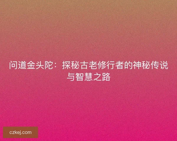 问道金头陀：探秘古老修行者的神秘传说与智慧之路